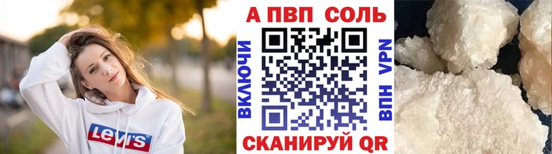 APVP СК Бежецк