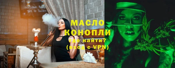 гашик Алексин