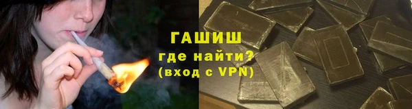 гашик Алексин