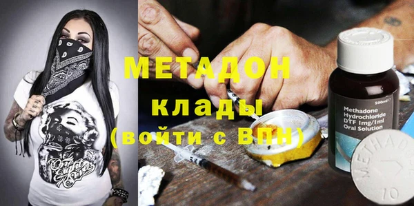 гашик Алексин