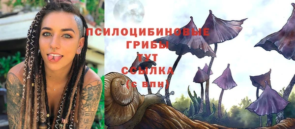 гашик Алексин