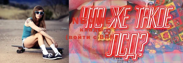 гашик Алексин