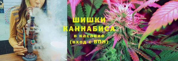 гашик Алексин