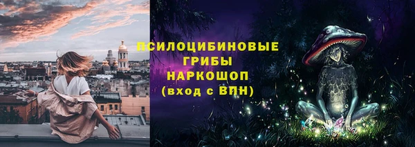 гашик Алексин